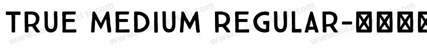 True Medium Regular字体转换